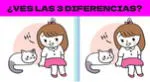 Si crees que tienes muy buena visión, entonces podrás desarrollar este reto extremo.