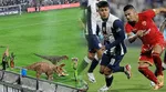 En el entretiempo aparecieron dinosaurios en la cancha de Matute.