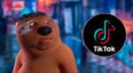 Conoce el verdadero origen del meme viral del 'Castor chino' que se hizo viral en TikTok