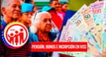 Consulta más sobre el Instituto Venezolano de los Seguros Sociales.