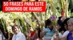 Las mejores frases por Domingo de Ramos 2024 para redes sociales.