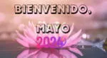Revisa las mejores frases para iniciar el mes de mayo 2024