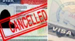 EE. UU. suspende visas de estudio en estos estados, ¿qué pasará con los estudiantes?