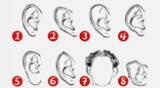 Descubre qué significa el tipo de orejas que tienes