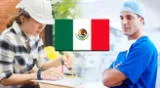 ¿Cuáles son las carreras mejor pagadas en México?