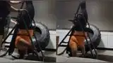 TikTok: Joven se quedó atrapada en máquina de gimnasio y tuvo que recurrir al 911