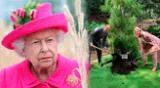 Reina Isabel II: última foto de la familia real podría presagiar su destino