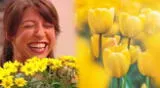 ¿Por qué regalar flores amarillas el 21 de setiembre se hizo tendencia en TikTok?