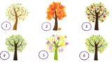 ¿Cuál árbol te gusta más? La respuesta revelará detalles sobre tu personalidad