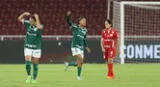 Palmeiras campeón Libertadores