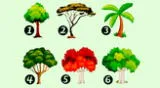Elige un árbol y descubre a qué nivel están tus celos.