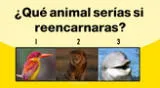 Resuelve este test de personalidad y conoce qué animal serías si reencarnaras