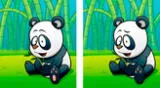 Reto visual: encuentra las 5 diferencias entre los pandas.