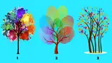 Conoce si eres una persona manipuladora desarrollando este test de personalidad. Conoce si eres una persona manipuladora desarrollando este test de personalidad.
