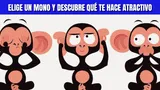 Test de personalidad: Elige un mono y descubre cuál es tu mejor atractivo
