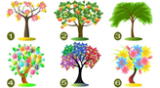 ¿Cuál de estos árboles es tu favorito? Tu elección te revelará si eres una persona transparente