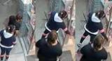 Mujeres se transforman en el 'Grinch' y arruinan la navidad robando sigilosamente regalo de tienda