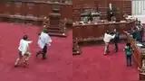 Congresistas se pelean en pleno Parlamento y corretean para golpearse