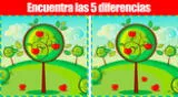 Tienes 8 segundos para lograr ubicar las 5 diferencias de este reto visual solo para genios.