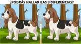 Intenta encontrar las 3 diferencias en este complicado reto. Intenta encontrar las 3 diferencias en este complicado reto.
