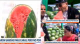 Los chilenos quedaron fascinados al probar esta fruta tropical cultivada en Perú.