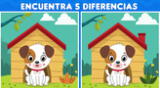 Solo un GENIO encuentra las 5 diferencias entre los perritos.