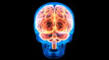 Descubre que sucede con tu cerebro antes de fallecer, según estudio de la Universidad de Michigan