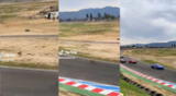 Perrito cruzó pista de carreras en medio de competencia automovilista y es viral en TikTok