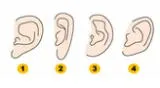 Descubre más detalles de tu personalidad con la forma de tu oreja.
