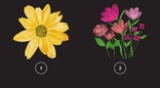 Mira las opciones y elige una de las flores de manera esporádica.