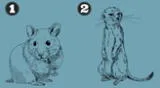 Una ratón o una suricata. ¿Qué animal prefieres tú?