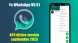 Te compartimos los pasos para descargar APK Yo WhatsApp V9.81 para el mes de septiembre 2023 de manera segura y sin riesgo a baneo.