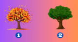 Autumn or summer tree? Your answer will reveal unpublished details about your personality.