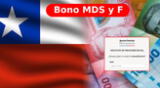 En esta nota podrás conocer todos los detalles del Bono MDS y F.