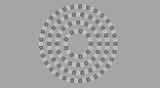 Conoce cuál es la verdadera cantidad de círculos que están escondidos en la ilusión óptica.
