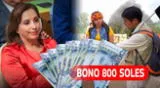 El Gobierno peruano tiene hasta el 31 de diciembre para entregar el Bono 800 soles.