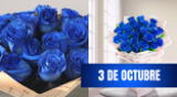 Conoce por qué se regalan flores azules hoy 3 de octubre