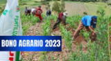 Bono Agrario 2023: todo sobre el nuevo beneficio