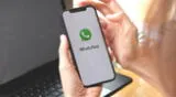 Conoce cómo conversar con la inteligencia artificial en WhatsApp en el 2023.