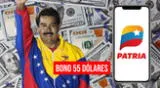 Detalles del Bono de 55 dólares en Venezuela
