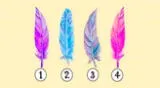 Elige una de estas coloridas plumas y descubrirás detalles de tu personalidad desconocidos.