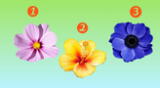 Revisa cada flor y elige una para ver los resultados del test de personalidad