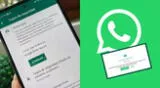 Conoce AQUÍ cómo hacer y restaurar una copia de seguridad en WhatsApp HOY.