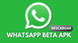 Obtén AQUÍ el LINK para descargar GRATIS la última versión de WhatsApp Beta APK.