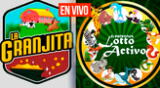 Resultados del Lotto Activo y La Granjita del 2 de abril.