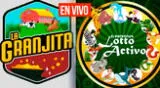 Lotto Activo y La Granjita continúa premiando en el país llanero.