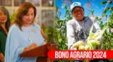 Infórmate si el Gobierno peruano y Midagri volverán a pagar el Bono agrario 2024.