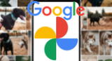 Google Fotos es una de las herramientas más importantes en los servicios de Google. Descubre para qué sirve y cómo optimizar su funcionamiento.