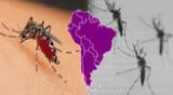 Los mosquitos suelen ser una verdadera molestia para millones de personas alrededor del mundo y son terribles portadores de enfermedades, muchas de ellas mortales.