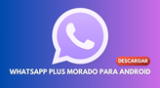 Revisa cómo descargar WhatsApp Plus Morado de forma segura en JUNIO de 2024.